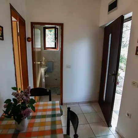 Apartment Rakic Pomer Exterior photo